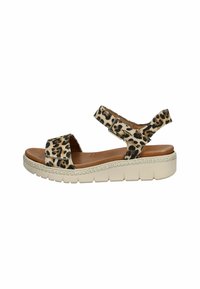Unselected, leopard 