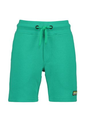 Grüne Freizeithose mit elastischem Bund, verstellbarem Kordelzug, Seitentaschen und einem kleinen rechteckigen Logo-Patch am linken Beinabschluss.