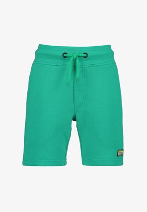 Grønne casual shorts med elastik i taljen, justerbar snøre, sidelommer og et lille rektangulært logo på venstre ben kant.