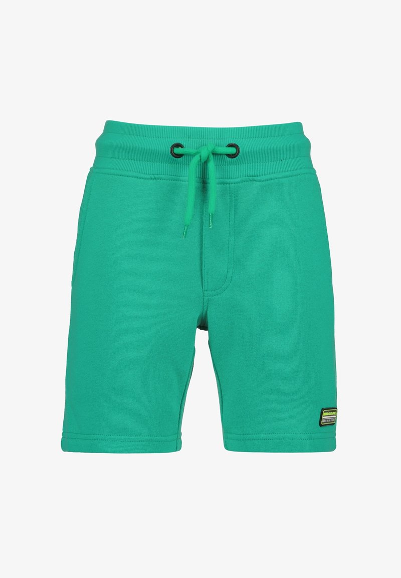 Shorts décontractés verts avec taille élastique, cordon ajustable, poches latérales et petit patch logo rectangulaire sur l'ourlet de la jambe gauche.