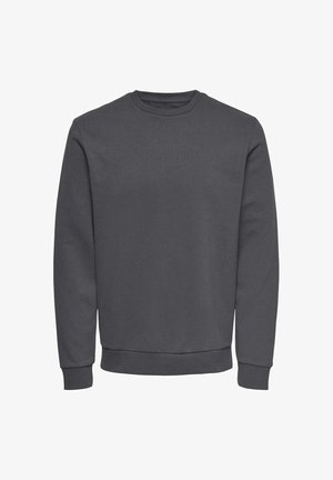 Sudadera gris de tela suave con cuello redondo, mangas largas y puños y dobladillo acanalados para un ajuste ceñido. Sin patrones ni logos.