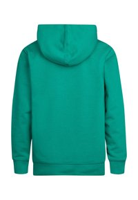 Groene katoenen hoodie met een trekkoord in de capuchon, lange mouwen en ribgebreide manchetten en onderrand. Soepele textuur en uniforme kleur zonder patronen.