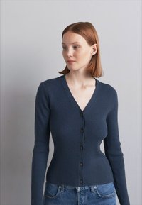 Tiger of Sweden GIANE - Neuletakki - ocean grey