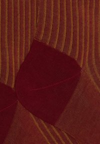 Calze rosse con strisce verticali dorate e un tallone rosso uniforme. La texture è liscia con una leggera lucentezza. Design in tessuto misto.