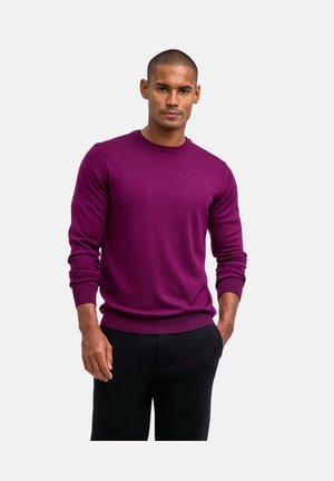 PULLOVER - Maglione - vendetta