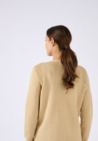 Hellbeiger Strickpullover mit einer strukturierten Passe, langen Ärmeln und lockerem Sitz. Glatte, weiche Stoffqualität und subtile Details an den Schulternähten.