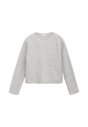 Maglione a maniche lunghe grigio chiaro in maglia con scollatura a girocollo e orlo leggermente accorciato, esposto su sfondo bianco.