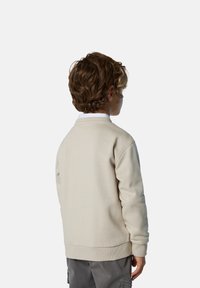 Sudadera de color beige claro con un diseño sencillo, cuello redondo y puños acanalados. Usada por un niño, la vista muestra la parte posterior y la tela texturizada.