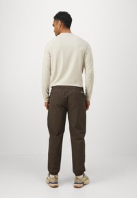 Jack Wolfskin PRELIGHT TRAIL PANTS  - Outdoor trousers - peat