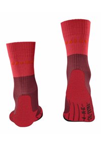 FALKE TK2  - Chaussettes de sport - merlot