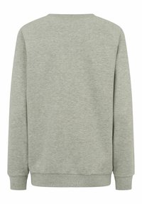 Lichtgrijze sweatshirt, zachte stof, ribbelboord bij de ronde hals, lange mouwen en ribbelboorden aan de onderrand. Effen achterkant zonder zichtbare ontwerpdetails.