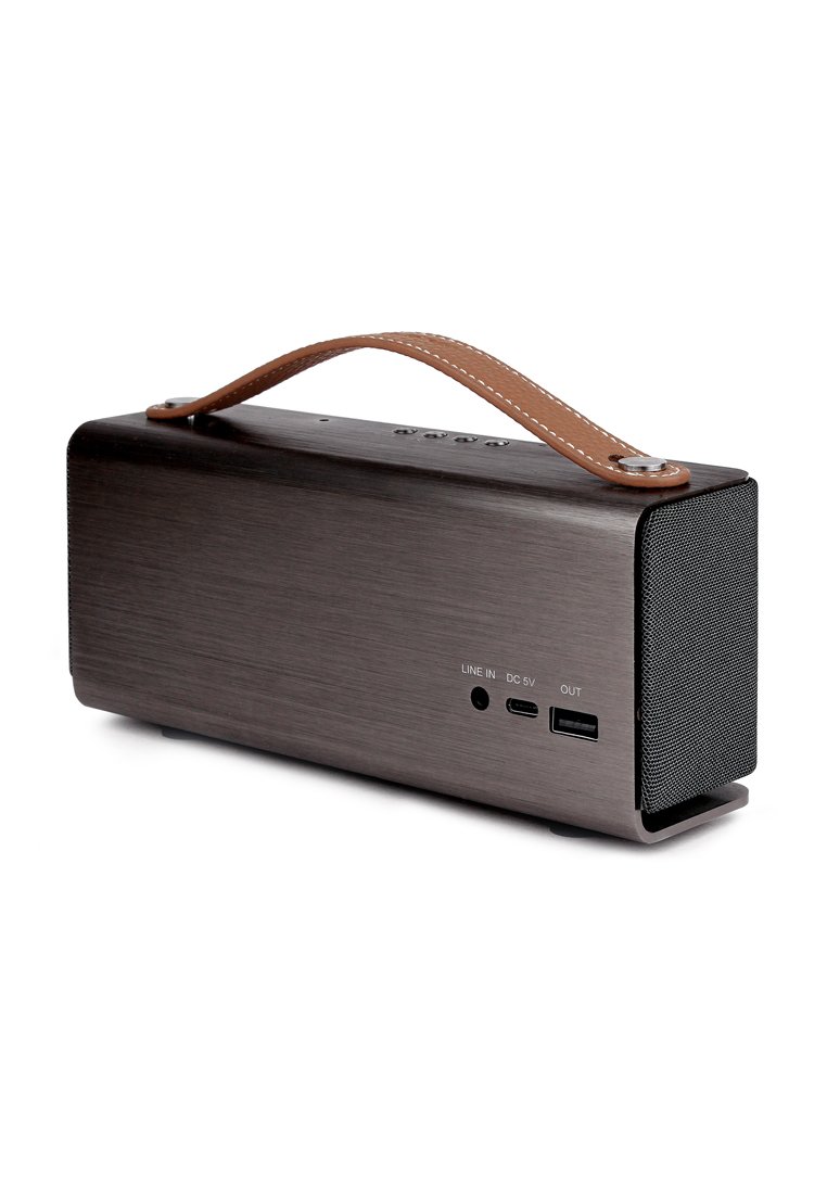 Altoparlante portatile con finitura in metallo spazzolato, forma rettangolare, manico in pelle marrone, griglia anteriore in rete nera e porte di connessione sul retro.