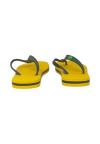 Infradito gialli con cinturini verdi, dotati di una soletta testurizzata, una striscia nera a contrasto sulla suola e un piccolo accento con la bandiera brasiliana.
