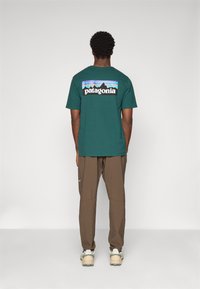 Grøn bomulds-T-shirt med et bjergmotiv og "Patagonia" logo på ryggen. Blandet med brune bukser og beige fodtøj.