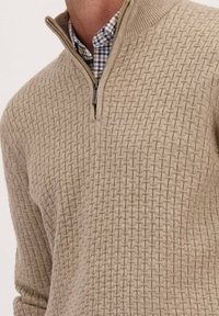 Man in een beige gemêleerde kwart-rits trui over een blauw-wit geblokte overhemden, portret geknipt op nek en borst.