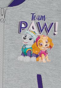 Felpa grigia con zip caratterizzata da una grafica con due cani cartoon. Il testo recita "Team PAW!" in viola e blu, con texture e colori del pelo visibili.