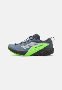 Salomon - SENSE RIDE 5 GTX - Laufschuh Trail - flint stone/black/green gecko Thumbnail-Bild 1