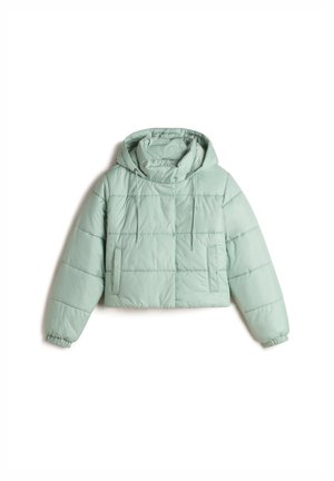 Vans HILLGATE CROPPED PUFFER - Giacca invernale - olive