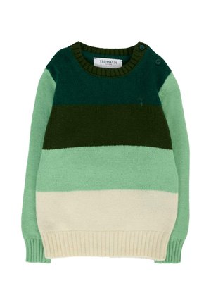 Pull à rayures vertes avec un col rond, présentant des nuances de vert foncé et clair, une bande crème en bas et des boutons aux épaules.