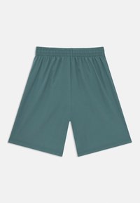 Καφέ ελαστικές βερμούδες σε τιρκουάζ χρώμα, απλωμένες σε λευκό φόντο.