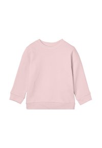Felpa rosa chiaro con maniche lunghe, collo rotondo, polsini e orlo a costine. Tessuto liscio, design casual senza motivi o dettagli visibili.
