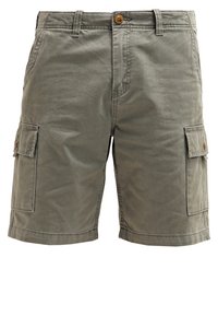 Pantalones cortos cargo en verde oliva, hechos de algodón, con dos bolsillos laterales y cierre de botón. Textura suave con detalles de costura.