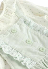 Next SET - REGULAR FIT - Body - sage green character
