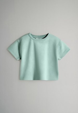 Münniroheline lühike T-särk lühikeste varrukatega, ümmarguse kaelusega, pehmest kangast. Sile tekstuur, lihtne disain, nähtavaid mustreid või aktsente ei ole.