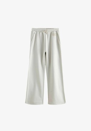 Spodnie dresowe o szerokich nogawkach w jasnoszarym kolorze, wykonane z miękkiego materiału, z elastycznym pasem, sznurkiem do regulacji oraz bocznymi kieszeniami. Charakterystyczne logo na biodrze.