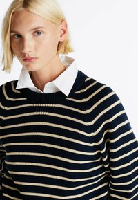 Maglione a strisce blu navy e crema con scollo rotondo e polsini a coste. Presenta un piccolo logo sul davanti e un colletto bianco a strati.