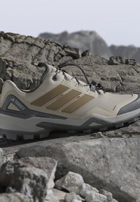 Scarpe da trekking Adidas Terrex beige e grigie con suola robusta, posate su un terreno roccioso con un paesaggio montano sullo sfondo.