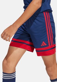 Marineblaue Sportshorts mit roten Akzenten, ausgestattet mit drei roten Streifen an den Seiten und einem gestickten Logo am Saum. Glatte Stofftextur.