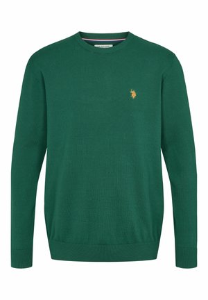U.S. Polo Assn. ADAIR - Džemperis - rain forest