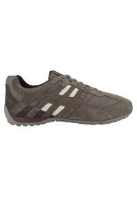Geox SNAKE - Trainers - taupe