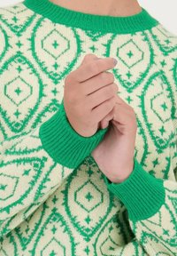 Gebreid sweater met een groen en crèmekleurig geometrisch patroon, met geribde manchetten en halslijn. De stof lijkt zacht en textuur te hebben.