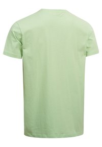 Lonsdale NORMALE PASSFORM ENDMOOR - Apdrukāts T-krekls - pastel green white
