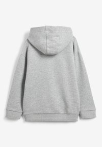Grijze hoodie met een zachte textuur, voorzien van een ronde capuchon, lange mouwen en geribde manchetten en zoom. Geen voorkantontwerp zichtbaar.