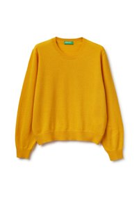 CREWNECK  - Strickpullover - yellow