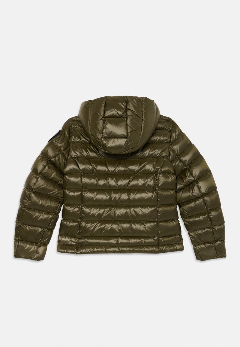 Blauer CHARME JUNIOR Daunenjacke green wood/beige/grün Zalando