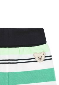 Pantalones cortos a rayas con una cinturilla negra. Presentan rayas verdes, blancas y negras, y una cara de oso bordada en la parte delantera izquierda.