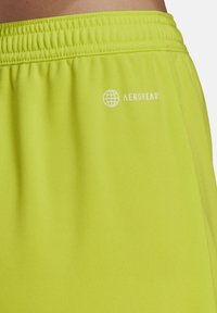 adidas Performance ENTRADA22 SHORTS - Korte broeken - gruenweiss