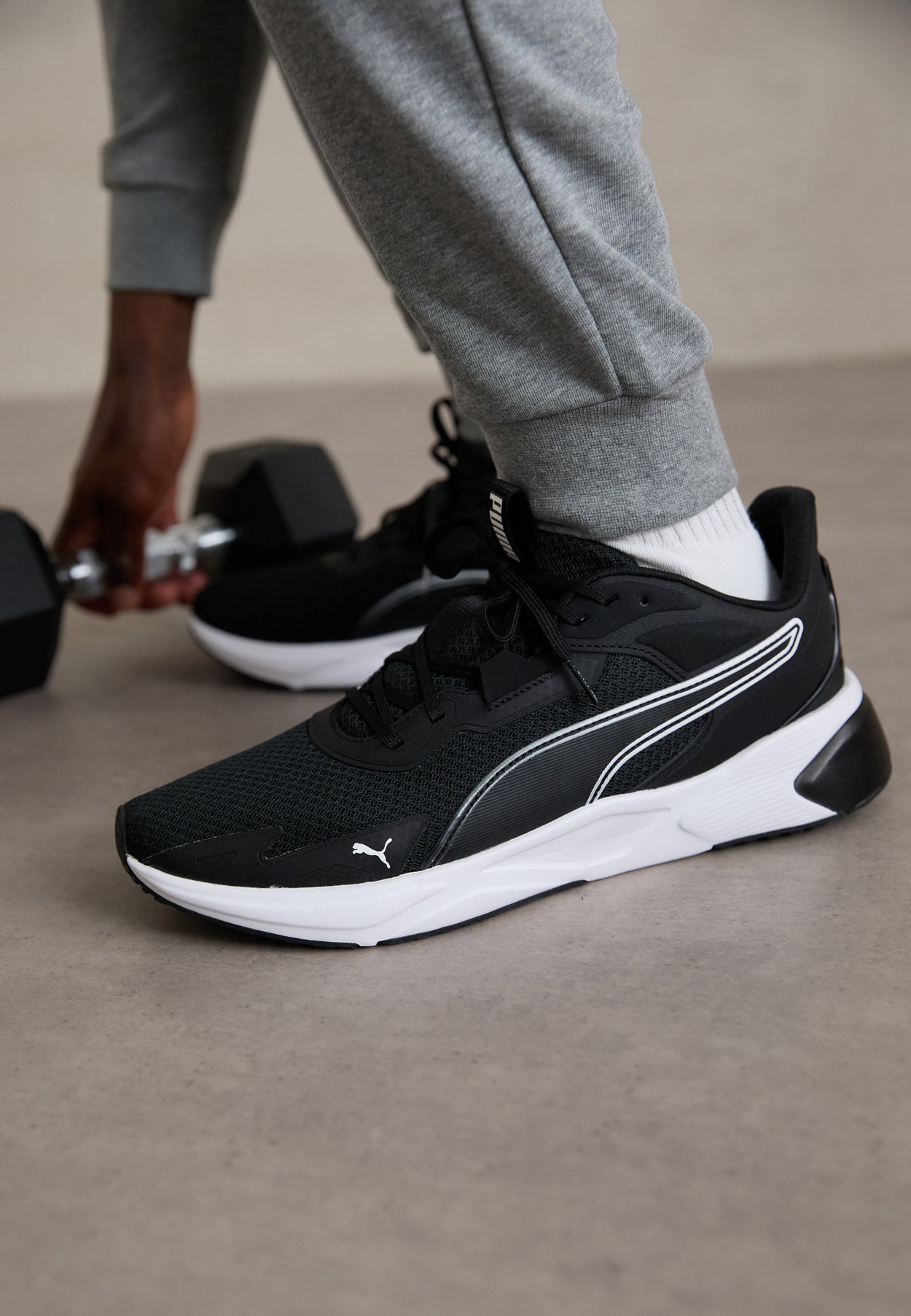 DISPERSE XT 4