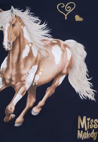 Design di un cavallo marrone e bianco con criniera fluente, su uno sfondo blu scuro. Testo dorato "Miss Melody" e cuori decorativi.
