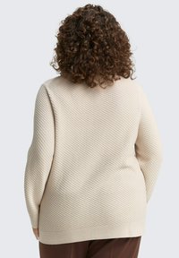 Beige gebreide trui met een textuurpatroon en geribbelde zoom, ontworpen met een relaxte pasvorm en lange mouwen. Achteraanzicht zichtbaar.