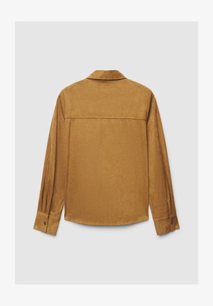 Chemise en tissu brun doux avec une texture lisse. Elle comporte un col, des manches longues et des poignets boutonnés. Le dos présente un design simple et épuré.