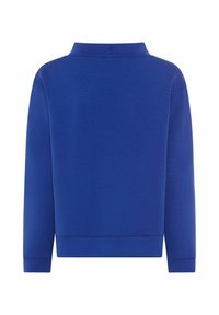 Effen blauwe sweatshirt met lange mouwen en hoge kraag, gezien van de achterkant.