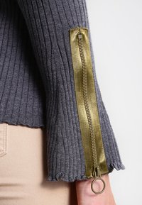 Grå ruggad tröjsleeve med en guldsatin dragkedja, med en vågig nederkant och en cirkulär dragkedjehämtning i slutet.