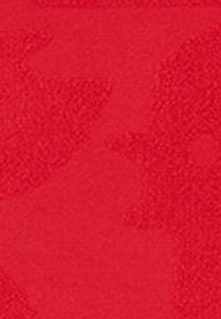 Tessuto rosso brillante con una superficie liscia, che presenta un motivo sottile. Il materiale sembra leggero e uniforme nel colore su tutta la superficie.