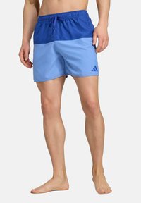 Pánské plavkové šortky v modré a světle modré barvě. Mají elastický pas s šňůrkou a na boku jednoduché logo Adidas.
