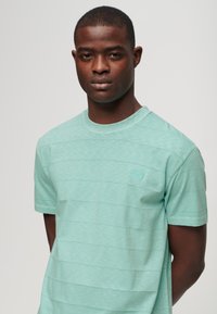 Superdry & Co Camiseta básica - fresh mint green